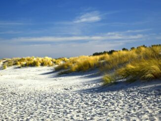 dunes, dune landscape, beach, sand beach, coastal, baltic sea coast, nature, landscape, beach, beach, beach, beach, beach, coastal