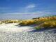 dunes, dune landscape, beach, sand beach, coastal, baltic sea coast, nature, landscape, beach, beach, beach, beach, beach, coastal