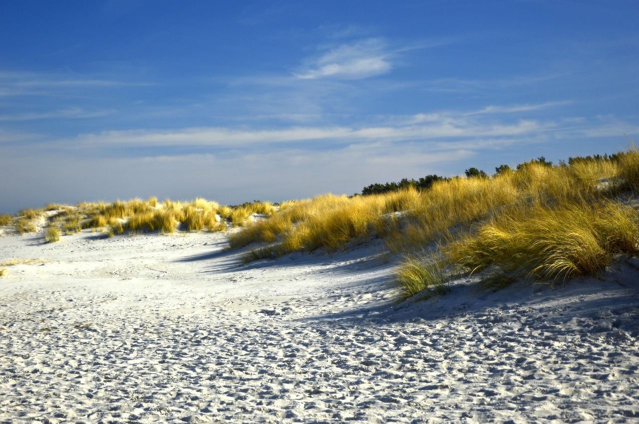 dunes, dune landscape, beach, sand beach, coastal, baltic sea coast, nature, landscape, beach, beach, beach, beach, beach, coastal